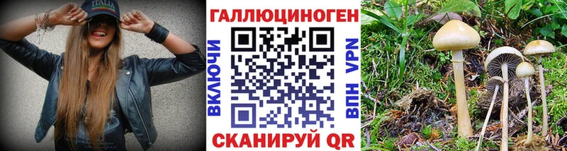 МЕГА маркетплейс  Саров  Псилоцибиновые грибы MAGIC MUSHROOMS  купить  